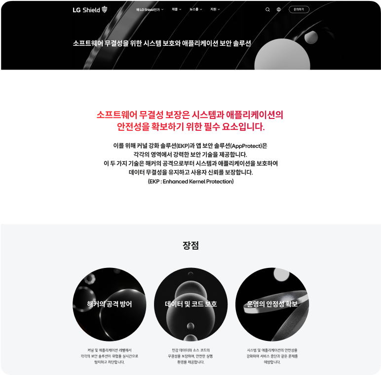 소프트웨어 무결성을 위한 시스템 보호와 애플리케이션 보안 솔루션 소개 화면